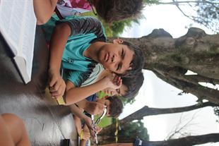 Imagem